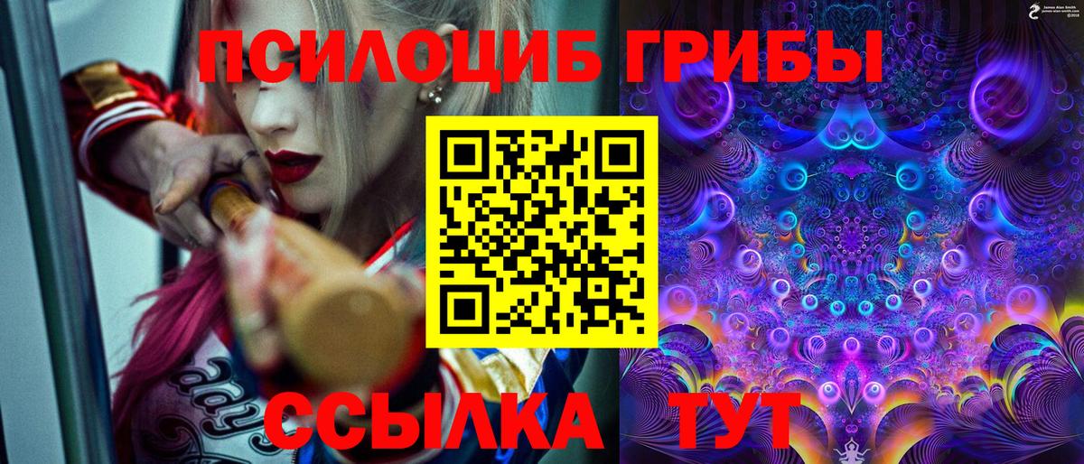 Кулебаки  Галлюциногенные грибы Psilocybe  Вход с VPN  Псилоцибиновые грибы Cubensis 