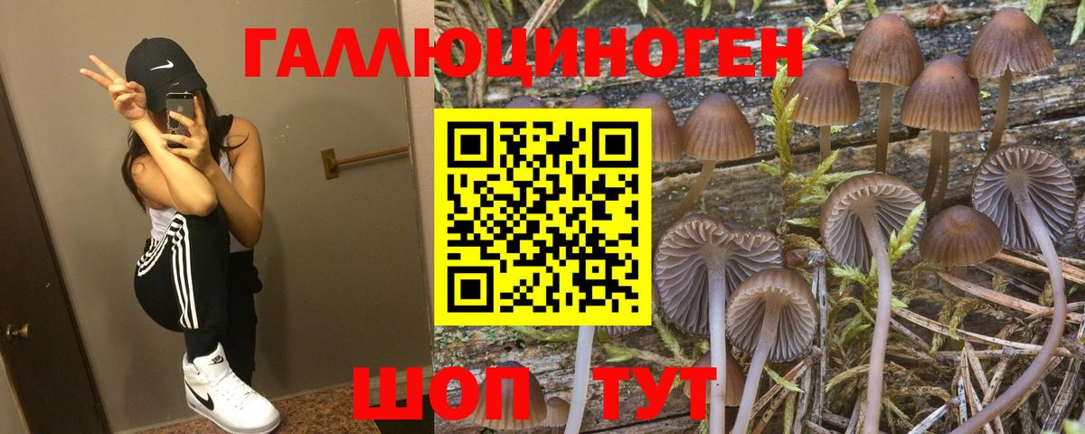 Галлюциногенные грибы прущие грибы Кулебаки